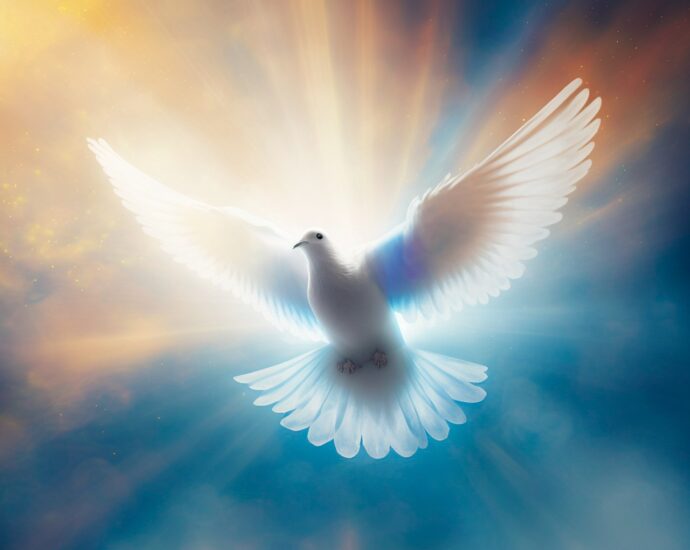 Dove, Holy Spirit